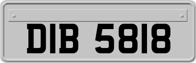 DIB5818