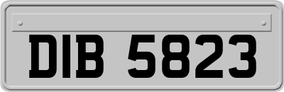 DIB5823