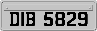 DIB5829