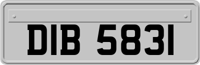 DIB5831