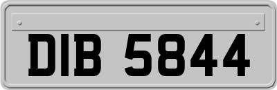 DIB5844