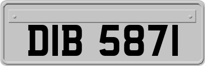 DIB5871