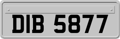 DIB5877