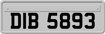 DIB5893