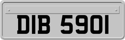 DIB5901