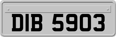 DIB5903