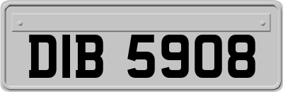 DIB5908
