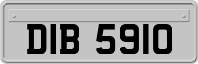 DIB5910