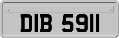 DIB5911