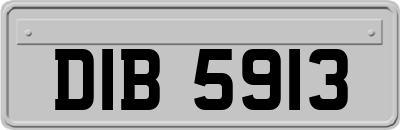 DIB5913