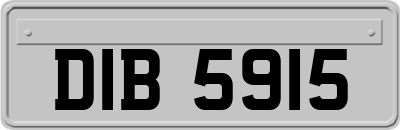 DIB5915