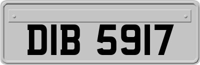 DIB5917