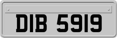 DIB5919
