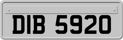 DIB5920