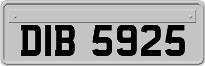 DIB5925