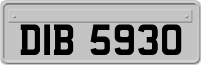 DIB5930