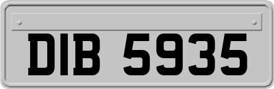 DIB5935