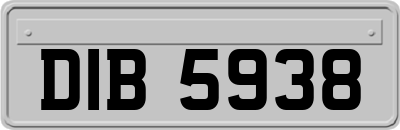 DIB5938