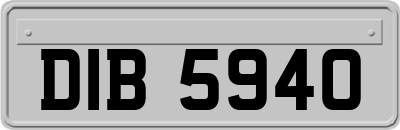 DIB5940