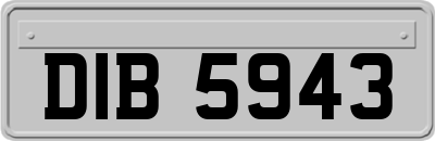 DIB5943