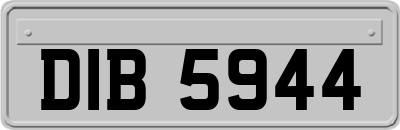 DIB5944