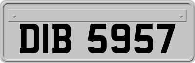 DIB5957