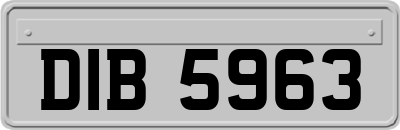 DIB5963