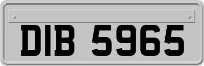 DIB5965