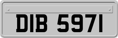 DIB5971