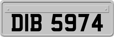 DIB5974