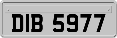 DIB5977
