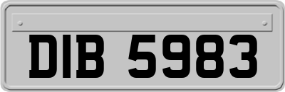 DIB5983