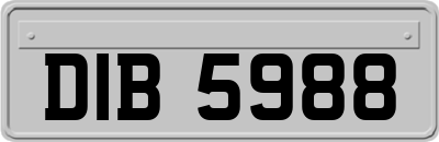 DIB5988
