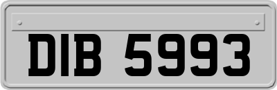 DIB5993