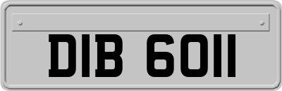 DIB6011