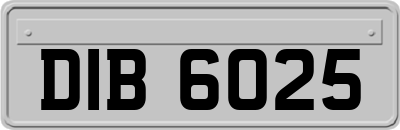 DIB6025