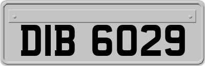 DIB6029