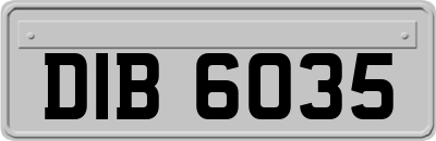 DIB6035