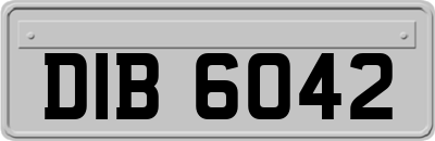 DIB6042