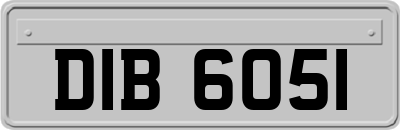 DIB6051