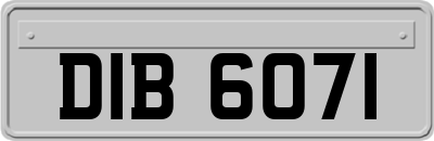 DIB6071