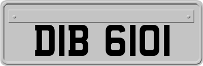 DIB6101