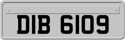 DIB6109