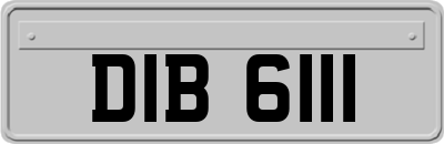 DIB6111