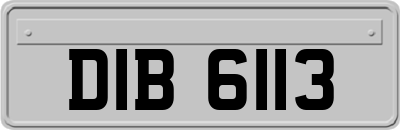 DIB6113