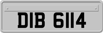 DIB6114