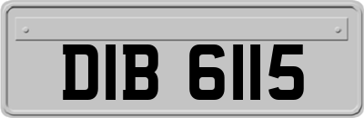 DIB6115