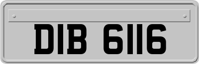 DIB6116