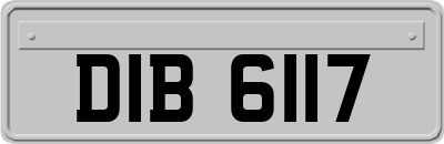 DIB6117