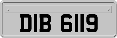 DIB6119